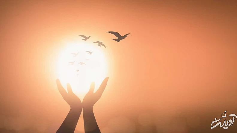 تفاوت رحمت و نعمت